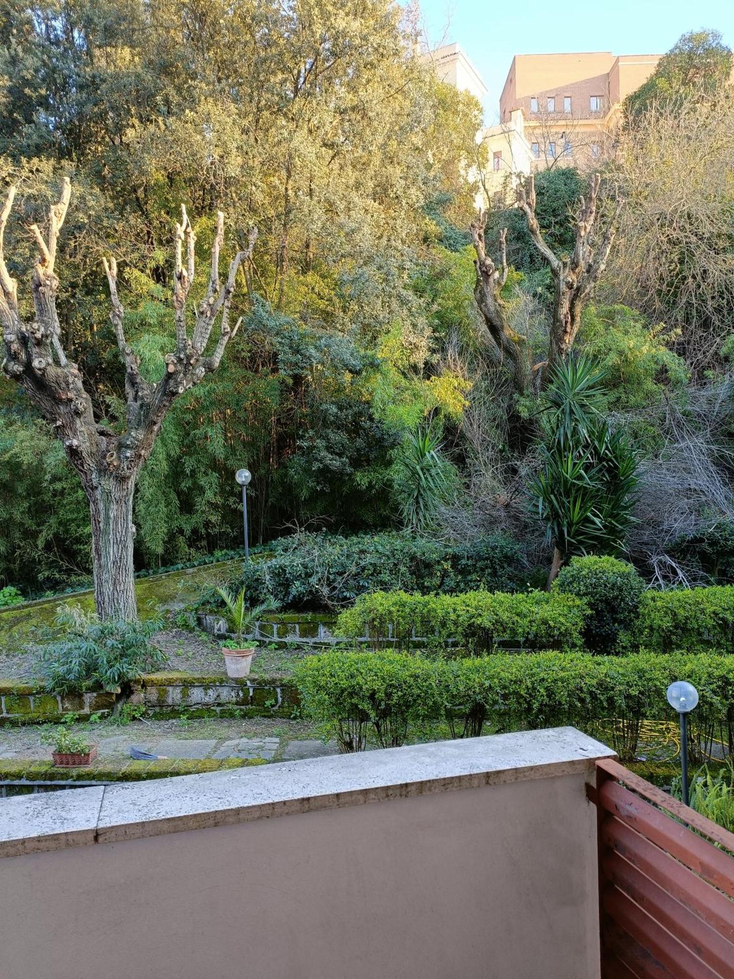 Vatican Firefly House