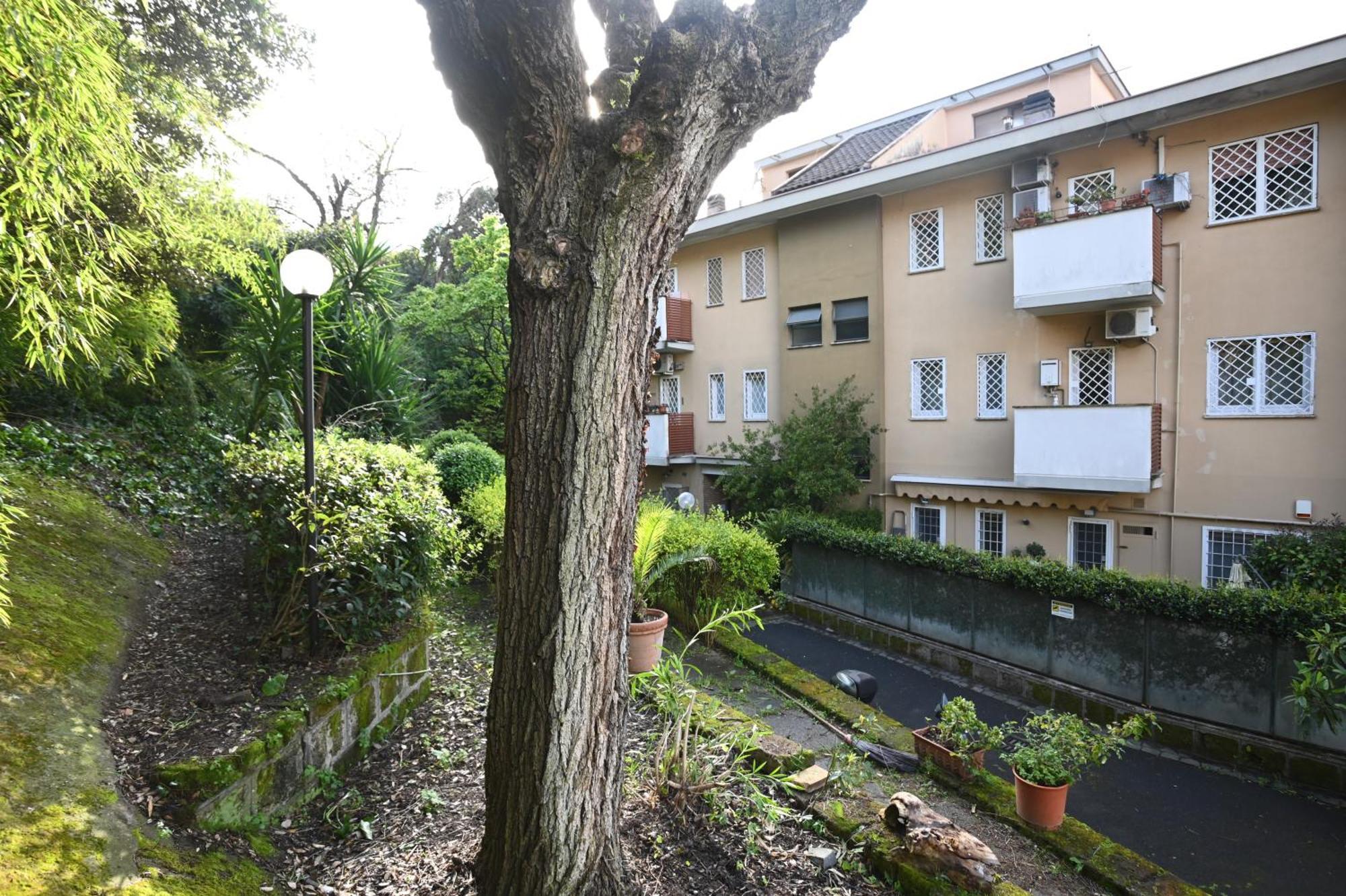 Vatican Firefly House Rom
